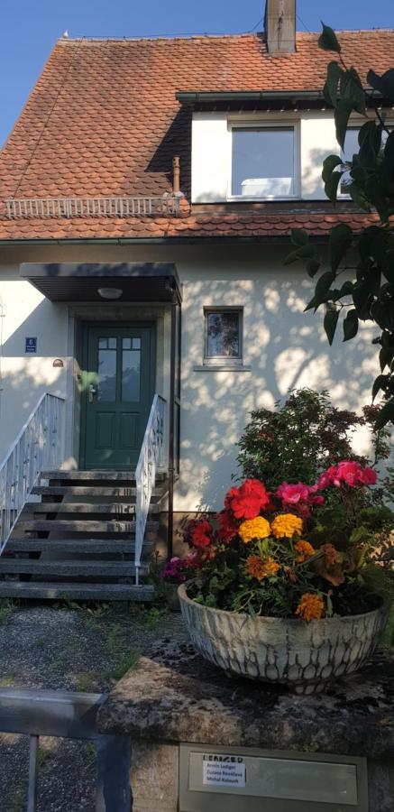 Frisch Renoviert Mit Dachterrasse - Geniesse Ruhe Und Grun Nahe Neustadt Aisch Neustadt an der Aisch Eksteriør billede