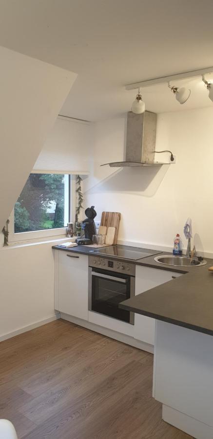 Frisch Renoviert Mit Dachterrasse - Geniesse Ruhe Und Grun Nahe Neustadt Aisch Neustadt an der Aisch Eksteriør billede